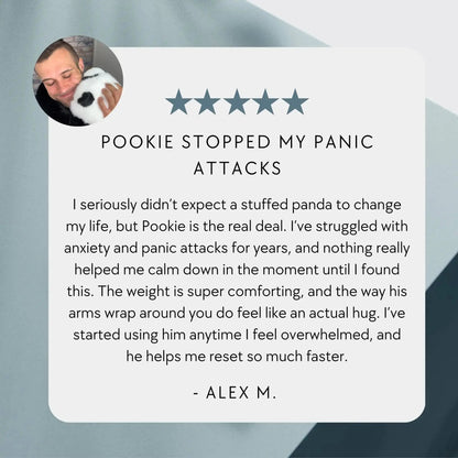 Pookie the Panda Weighted Animal Pulse of Potential