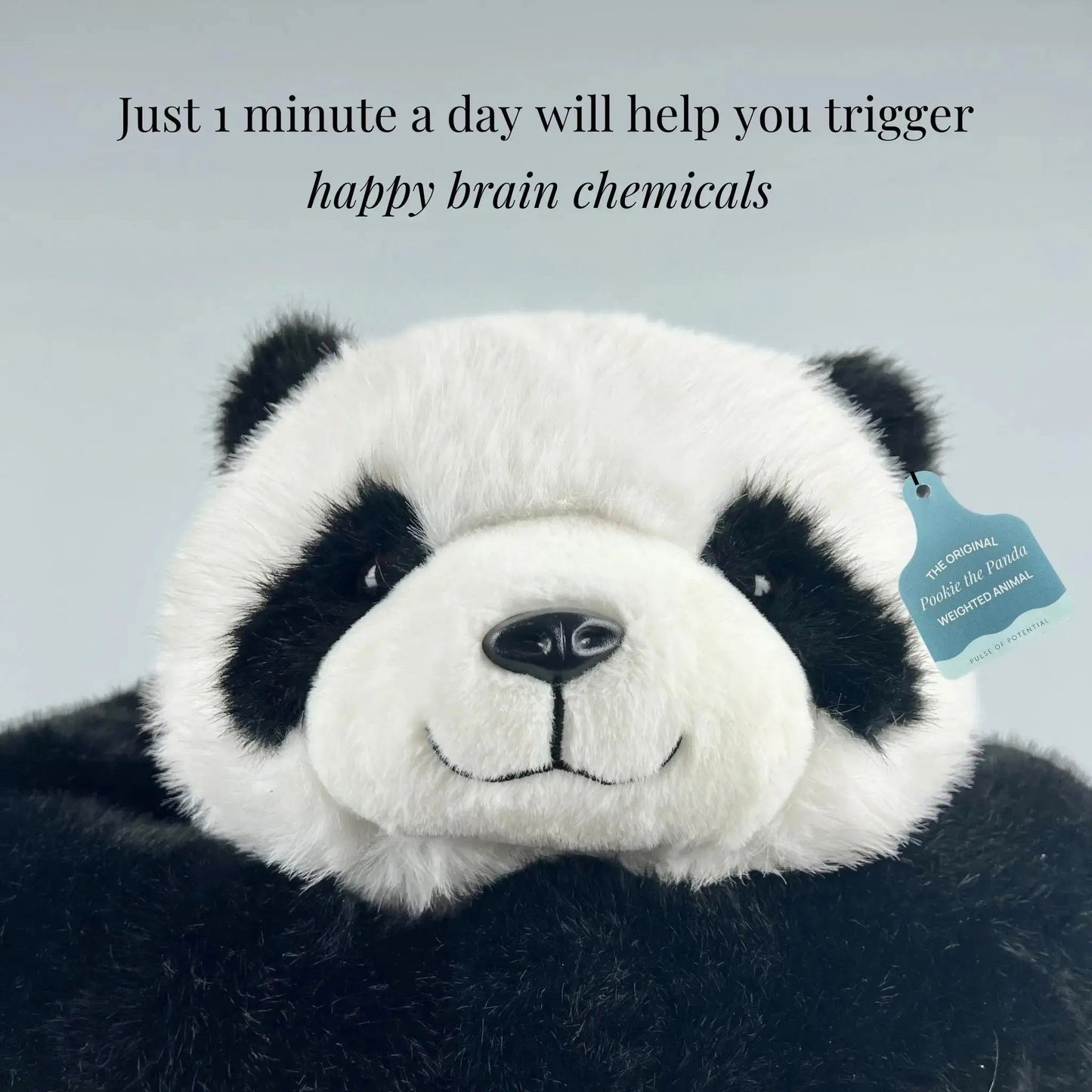 Pookie the Panda Weighted Stuffed Animal Pulse of Potential